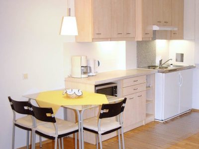 Appartement Single 3 alpha_graz_Single_Kueche